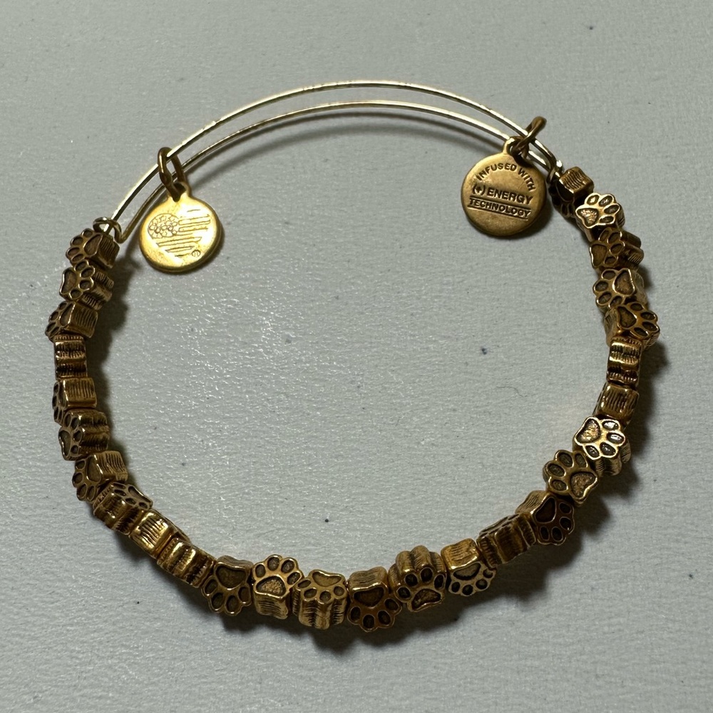 Alex and Ani Dog Paw Bracelet - Picture 4 of 4